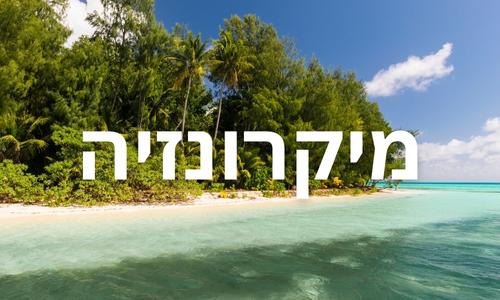 מיקרונזיה