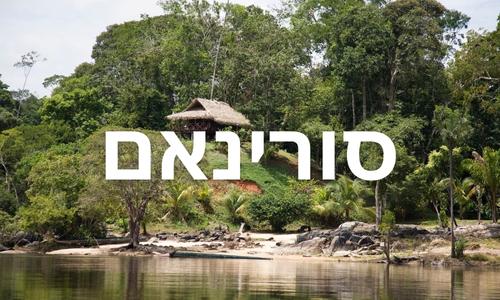 סורינאם